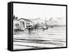 Customs Boat at Oban, 2007-Vincent Alexander Booth-Framed Stretched Canvas