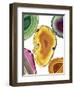 Cut Agates-Cordelia Molloy-Framed Premium Photographic Print