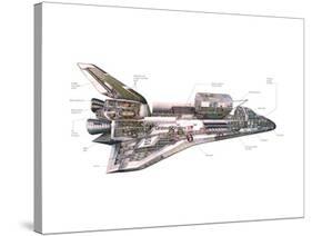 Cut-Away Diagram of the Space Shuttle-null-Stretched Canvas