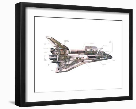 Cut-Away Diagram of the Space Shuttle-null-Framed Photo