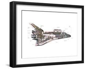 Cut-Away Diagram of the Space Shuttle-null-Framed Photo