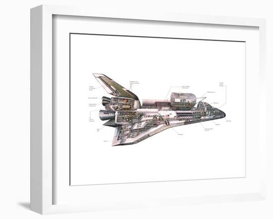 Cut-Away Diagram of the Space Shuttle-null-Framed Photo