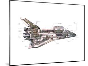 Cut-Away Diagram of the Space Shuttle-null-Mounted Photo