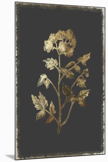 Cut Leaved Phacelia-PI Collection-Mounted Art Print