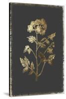 Cut Leaved Phacelia-PI Collection-Stretched Canvas