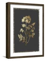 Cut Leaved Phacelia-PI Collection-Framed Art Print