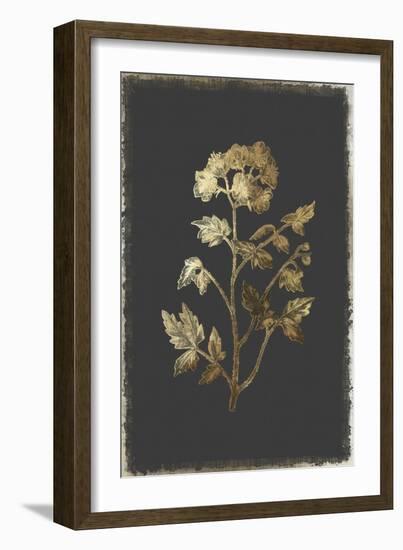 Cut Leaved Phacelia-PI Collection-Framed Art Print