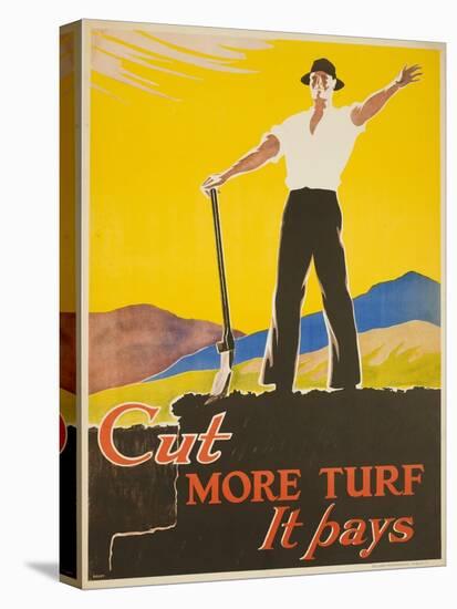 Cut More Turf it Pays-null-Stretched Canvas