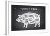 Cut of Meat Set. Poster Butcher Diagram, Scheme and Guide - Pork. Vintage Typographic Hand-Drawn On-Forest Foxy-Framed Art Print