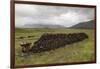 Cut Peat Stacked up for Winter, Connemara, County Galway, Connacht, Republic of Ireland-Gary Cook-Framed Photographic Print