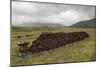 Cut Peat Stacked up for Winter, Connemara, County Galway, Connacht, Republic of Ireland-Gary Cook-Mounted Photographic Print