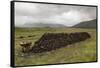 Cut Peat Stacked up for Winter, Connemara, County Galway, Connacht, Republic of Ireland-Gary Cook-Framed Stretched Canvas