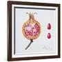 Cut Pomegranate (W/C on Paper)-Margaret Ann Eden-Framed Giclee Print