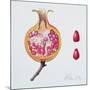 Cut Pomegranate (W/C on Paper)-Margaret Ann Eden-Mounted Giclee Print