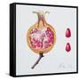 Cut Pomegranate (W/C on Paper)-Margaret Ann Eden-Framed Stretched Canvas