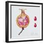 Cut Pomegranate (W/C on Paper)-Margaret Ann Eden-Framed Giclee Print