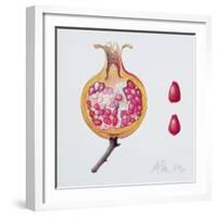 Cut Pomegranate (W/C on Paper)-Margaret Ann Eden-Framed Giclee Print