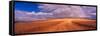 Cut Road Through Wheat Field, Colfax, Washington, USA-Terry Eggers-Framed Stretched Canvas