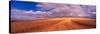 Cut Road Through Wheat Field, Colfax, Washington, USA-Terry Eggers-Stretched Canvas