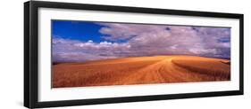 Cut Road Through Wheat Field, Colfax, Washington, USA-Terry Eggers-Framed Photographic Print