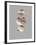 Cut Stone-Evangeline Taylor-Framed Art Print