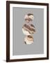 Cut Stone-Evangeline Taylor-Framed Art Print