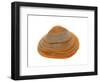 Cut Trough Shell, Belgium-Philippe Clement-Framed Photographic Print