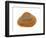 Cut Trough Shell, Belgium-Philippe Clement-Framed Photographic Print