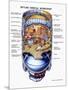 Cutaway View of Skylab, the First Earth Orbit Space Station-null-Mounted Art Print