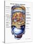 Cutaway View of Skylab, the First Earth Orbit Space Station-null-Stretched Canvas