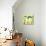 Cute Alpaca and Cactus-Michiru1313-Stretched Canvas displayed on a wall