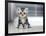 Cute American Shorthair Cat Kitten-Top Photo Engineer-Framed Photographic Print