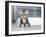 Cute American Shorthair Cat Kitten-Top Photo Engineer-Framed Photographic Print