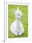 Cute Baby Alpaca-sinagrafie-Framed Photographic Print