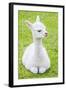 Cute Baby Alpaca-sinagrafie-Framed Photographic Print