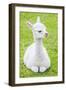 Cute Baby Alpaca-sinagrafie-Framed Photographic Print