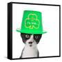 Cute Black and White Kitten Wearing a St Patricks Day Hat-Hannamariah-Framed Stretched Canvas