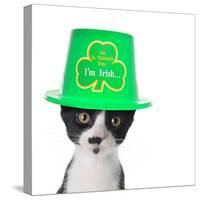 Cute Black and White Kitten Wearing a St Patricks Day Hat-Hannamariah-Stretched Canvas