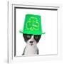 Cute Black and White Kitten Wearing a St Patricks Day Hat-Hannamariah-Framed Photographic Print