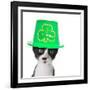 Cute Black and White Kitten Wearing a St Patricks Day Hat-Hannamariah-Framed Photographic Print