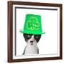 Cute Black and White Kitten Wearing a St Patricks Day Hat-Hannamariah-Framed Photographic Print