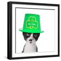 Cute Black and White Kitten Wearing a St Patricks Day Hat-Hannamariah-Framed Photographic Print