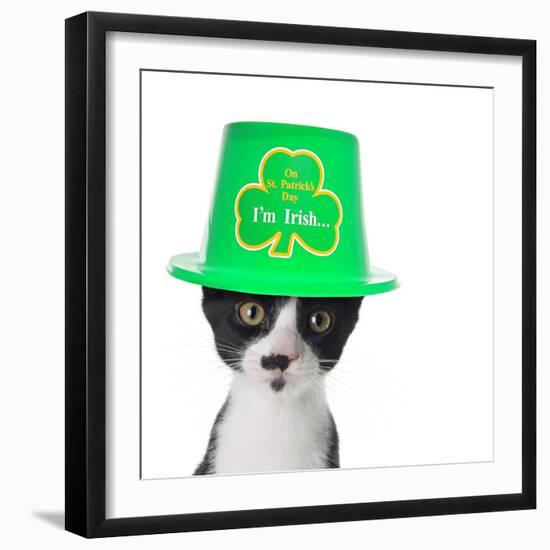 Cute Black and White Kitten Wearing a St Patricks Day Hat-Hannamariah-Framed Photographic Print