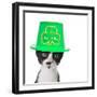 Cute Black and White Kitten Wearing a St Patricks Day Hat-Hannamariah-Framed Photographic Print