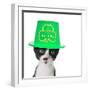 Cute Black and White Kitten Wearing a St Patricks Day Hat-Hannamariah-Framed Photographic Print