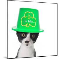 Cute Black and White Kitten Wearing a St Patricks Day Hat-Hannamariah-Mounted Photographic Print
