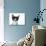 Cute Black And White Kitten With A Mustache-Hannamariah-Photographic Print displayed on a wall