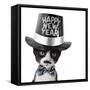 Cute Black and White Kitten with Moustache, Bow Tie and Happy New Year Hat-Hannamariah-Framed Stretched Canvas