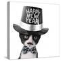 Cute Black and White Kitten with Moustache, Bow Tie and Happy New Year Hat-Hannamariah-Stretched Canvas