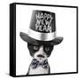 Cute Black and White Kitten with Moustache, Bow Tie and Happy New Year Hat-Hannamariah-Framed Stretched Canvas